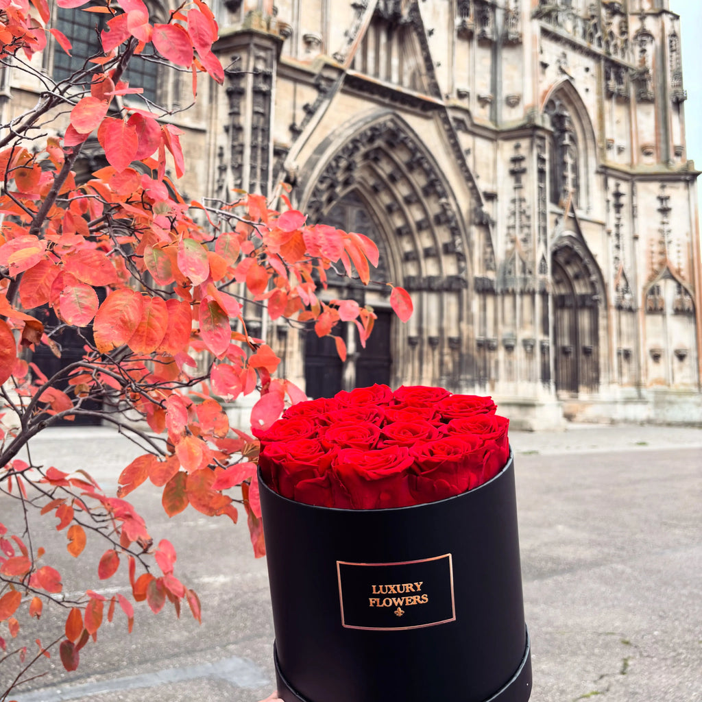 Flower box noir avec 12 roses éternelles rouge LUXURY FLOWERS