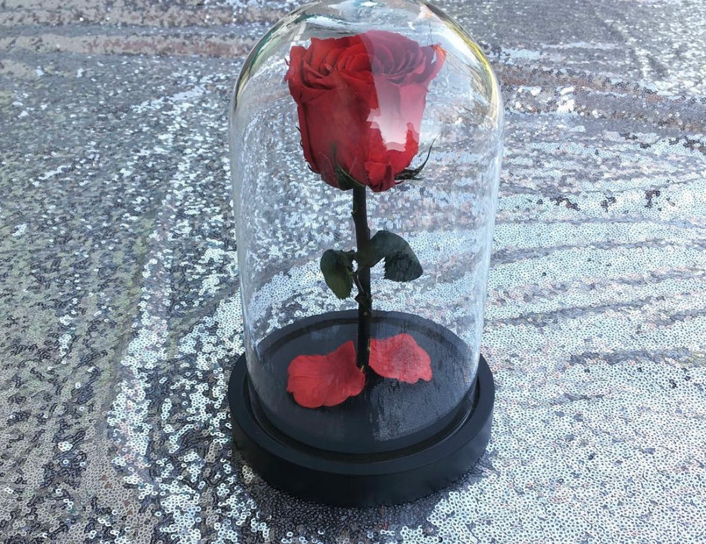 Rose sous cloche LUXURY FLOWERS