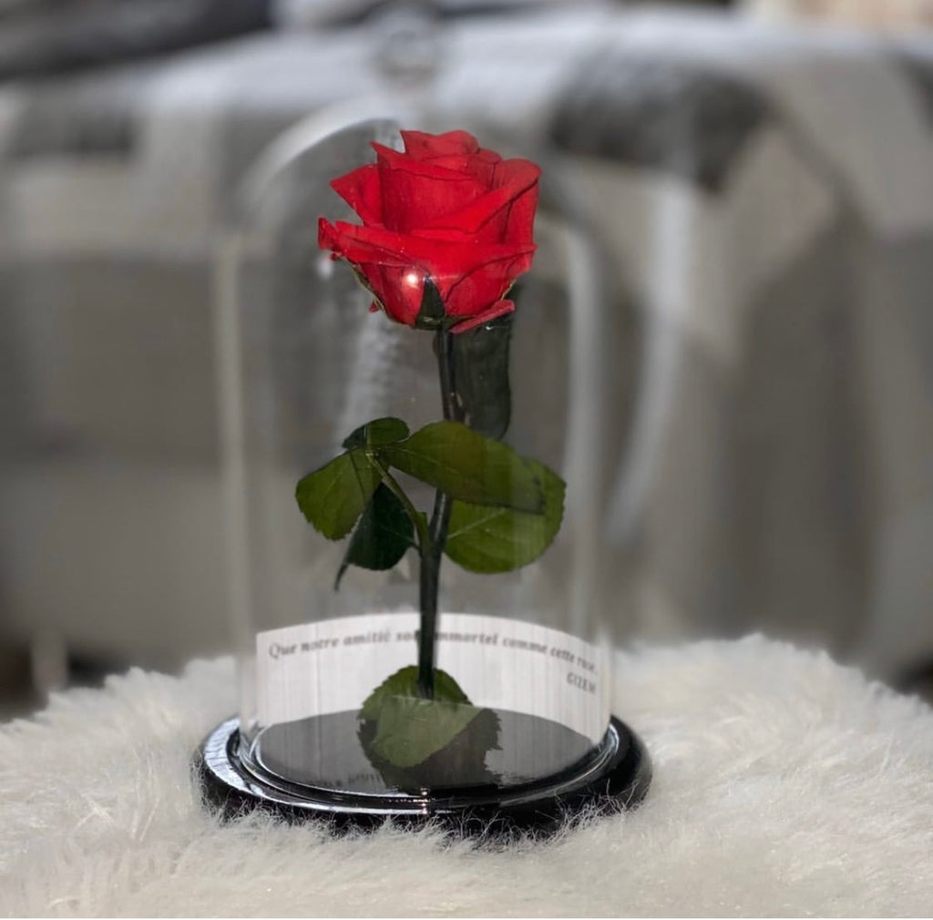 Rose sous cloche LUXURY FLOWERS