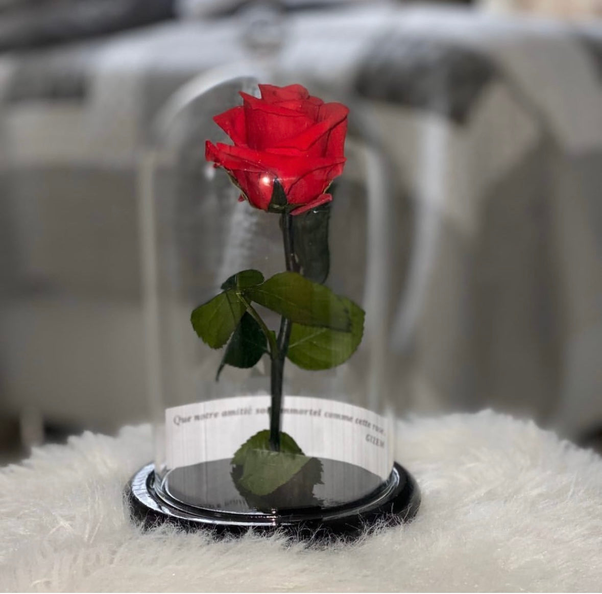 Rose sous cloche LUXURY FLOWERS