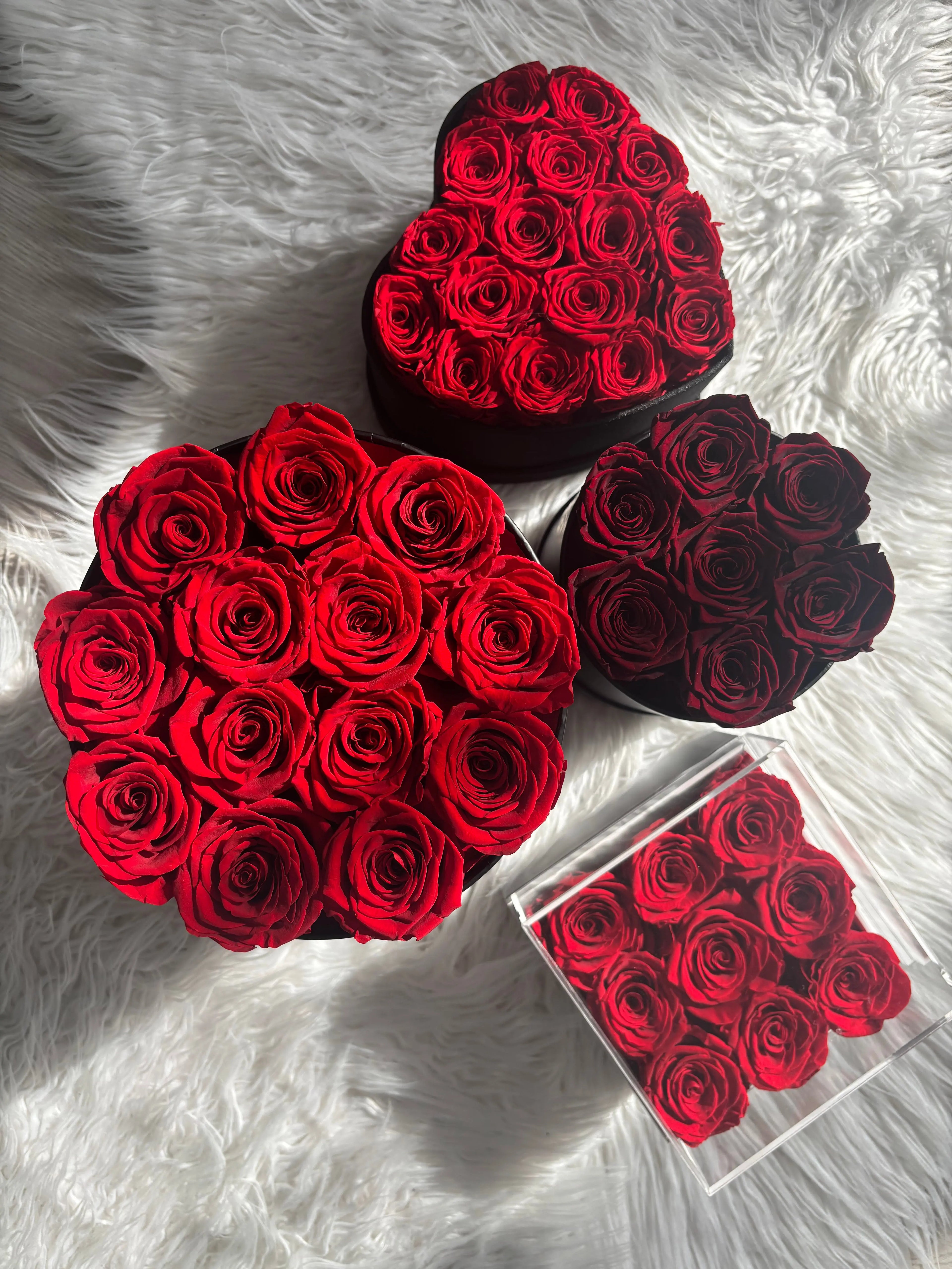 Flower box noir avec 12 roses éternelles rouge LUXURY FLOWERS