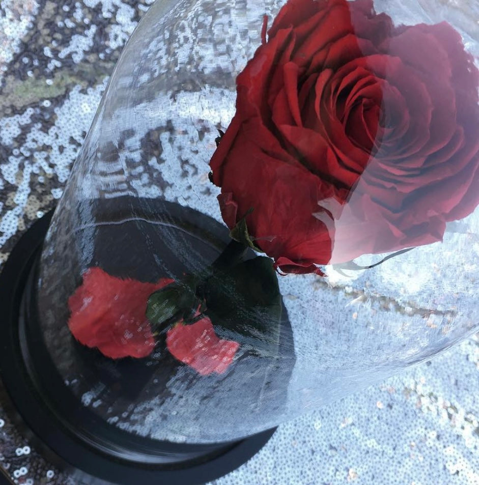Rose sous cloche LUXURY FLOWERS