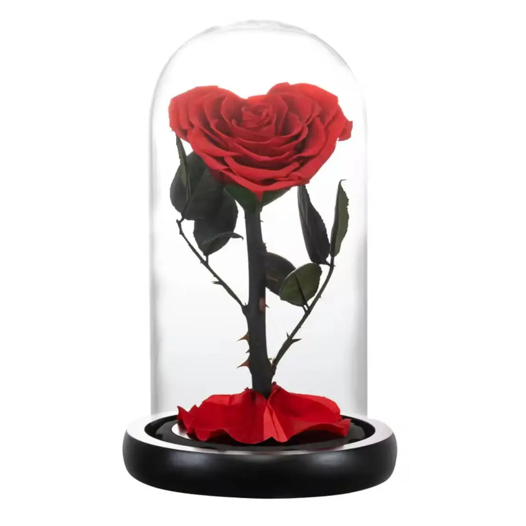 Rose éternelle sous cloche Ma boutique